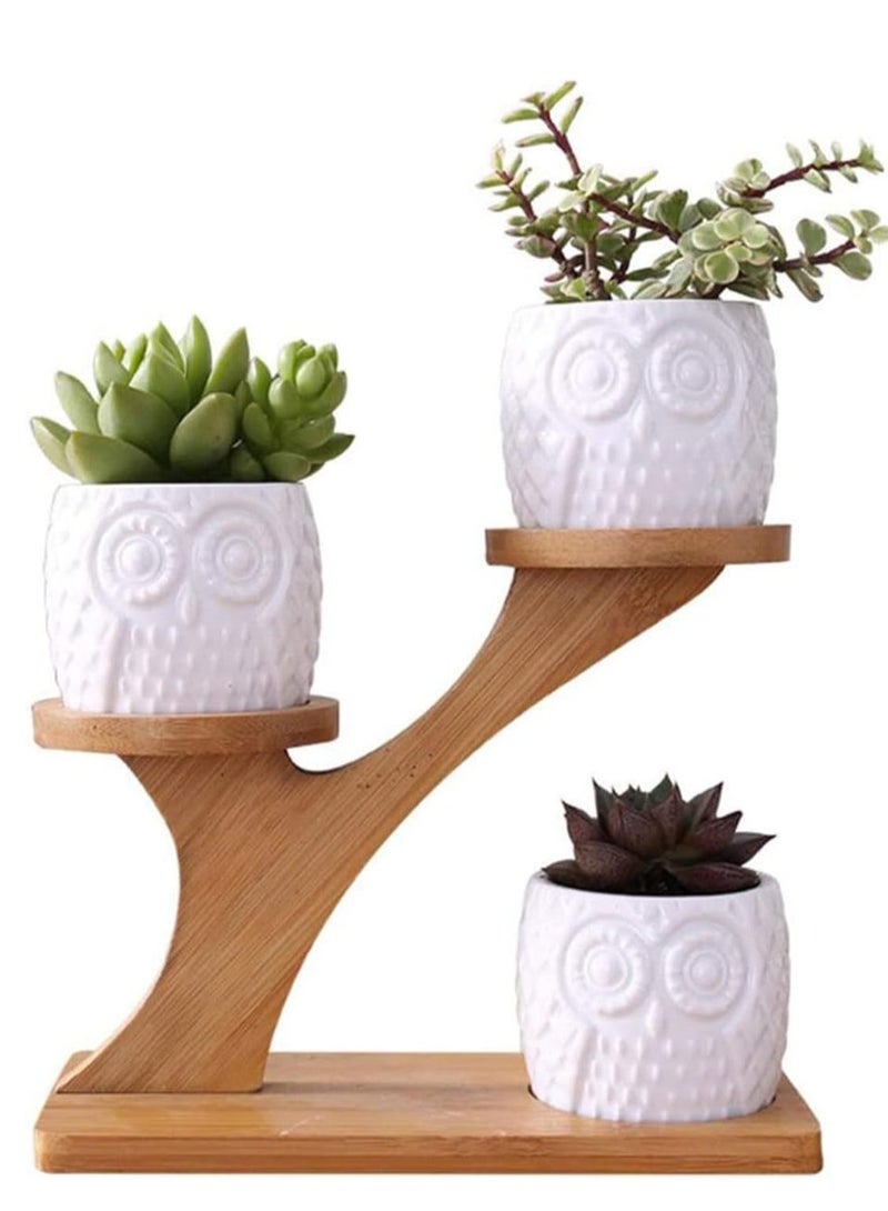 راكسوم حامل نباتات، حاملات أواني نباتات عصارية داخلية وخارجية، حامل نباتات من الخيزران بثلاث طبقات لغرفة المعيشة والشرفة والمكتب والحديقة - Image 1