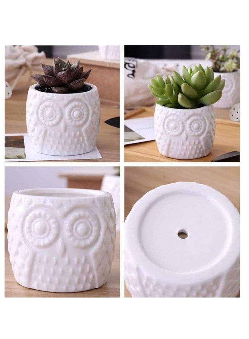 راكسوم حامل نباتات، حاملات أواني نباتات عصارية داخلية وخارجية، حامل نباتات من الخيزران بثلاث طبقات لغرفة المعيشة والشرفة والمكتب والحديقة - Image 2