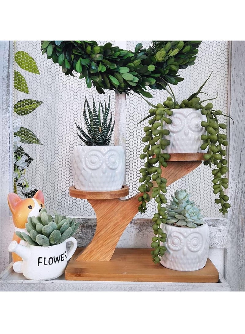 راكسوم حامل نباتات، حاملات أواني نباتات عصارية داخلية وخارجية، حامل نباتات من الخيزران بثلاث طبقات لغرفة المعيشة والشرفة والمكتب والحديقة - Image 4