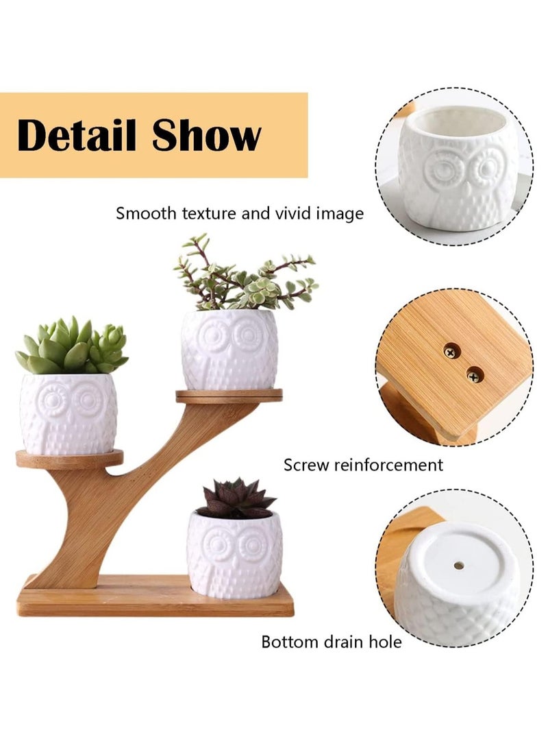 راكسوم حامل نباتات، حاملات أواني نباتات عصارية داخلية وخارجية، حامل نباتات من الخيزران بثلاث طبقات لغرفة المعيشة والشرفة والمكتب والحديقة - Image 5