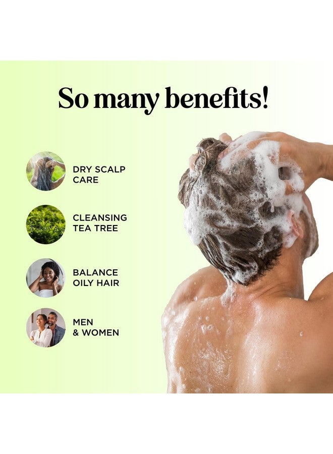 مايبل هوليستكس شامبو منقي للشعر المتراكم والدهني - شامبو شجرة الشاي للرجال والنساء بزيت إكليل الجبل العطري للشعر الدهني وفروة الرأس - آمن على اللون، نباتي، خالي من الكبريتات والسيليكون والبارابين (8 أونصة سائلة) - Image 3