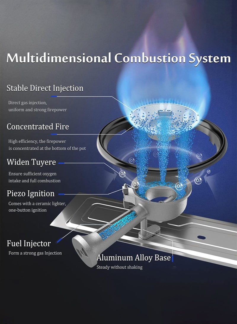 A Portable Gas Stove For Trips And Camping That Works On A Home Gas Cylinder And Small Gas Cans