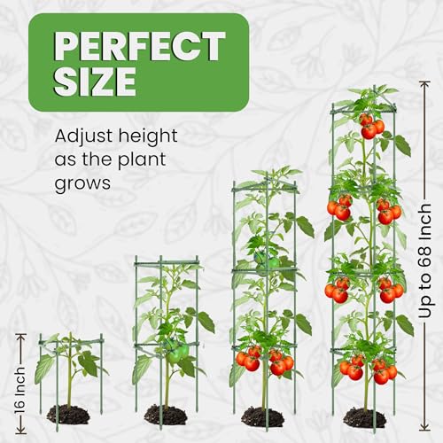 K-Brands Tomato Cage - Tomatoes Plant Stakes Support Cages Trellis for Garden and Pots (3 Pack - Extra Tall Upto 68 inches) - Image 3