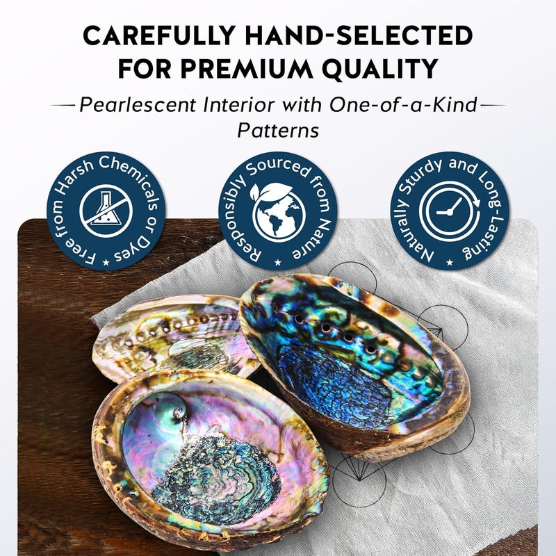 Alternative Imagination Hand Selected Abalone Shell, 6 Inches or Larger. Perfect for Holding Incense, Trinkets, and More - Image 4