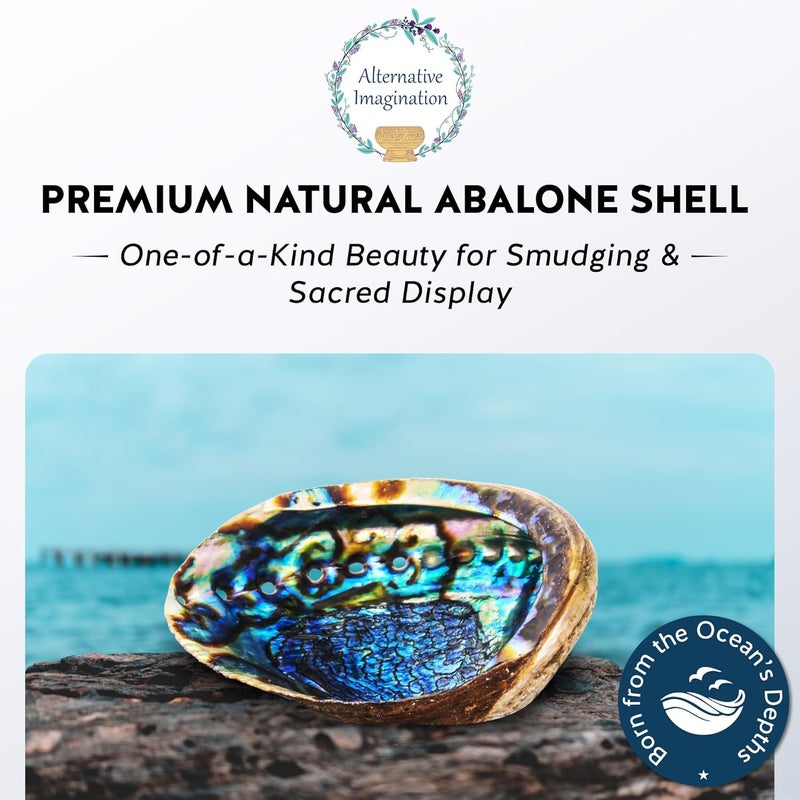 Alternative Imagination Hand Selected Abalone Shell, 6 Inches or Larger. Perfect for Holding Incense, Trinkets, and More - Image 2