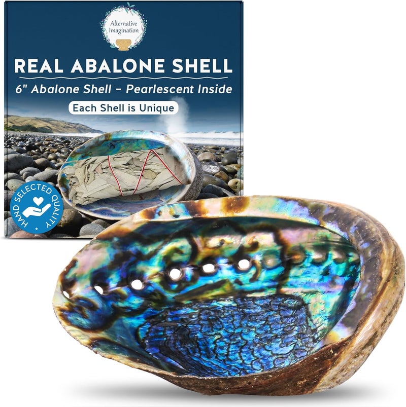 Alternative Imagination Hand Selected Abalone Shell, 6 Inches or Larger. Perfect for Holding Incense, Trinkets, and More - Image 1