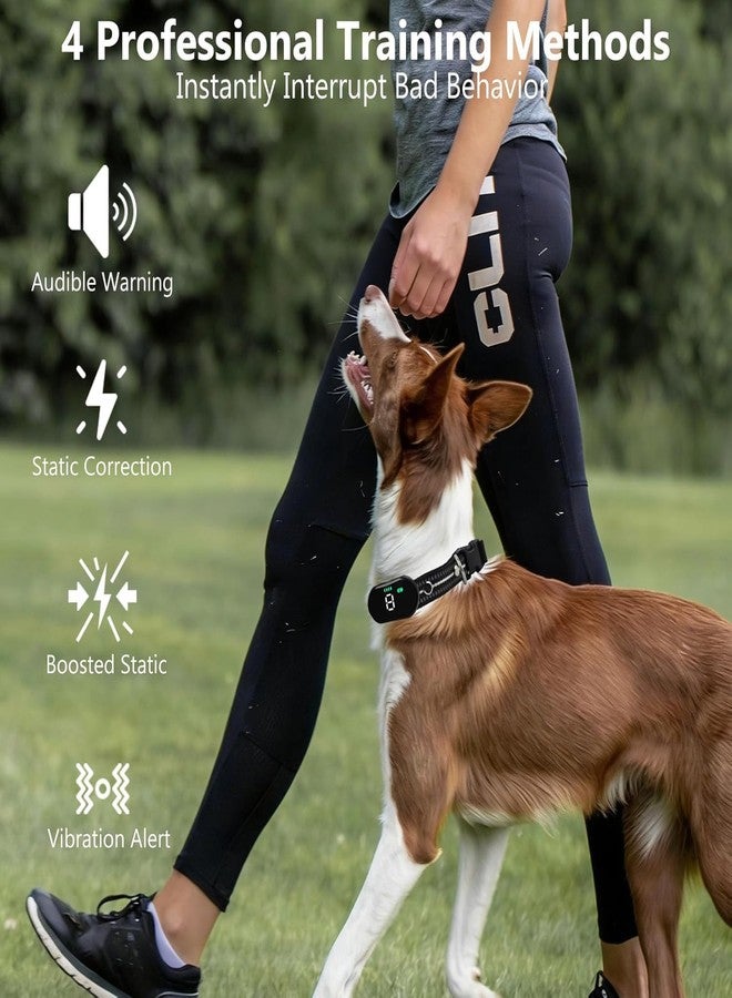 KIP Remote Dog Training Collar, IP67 Waterproof Shockproof E-Collar with 5 Training Modes, Rechargeable and Adjustable for Small, Medium and Large Dogs - Image 2