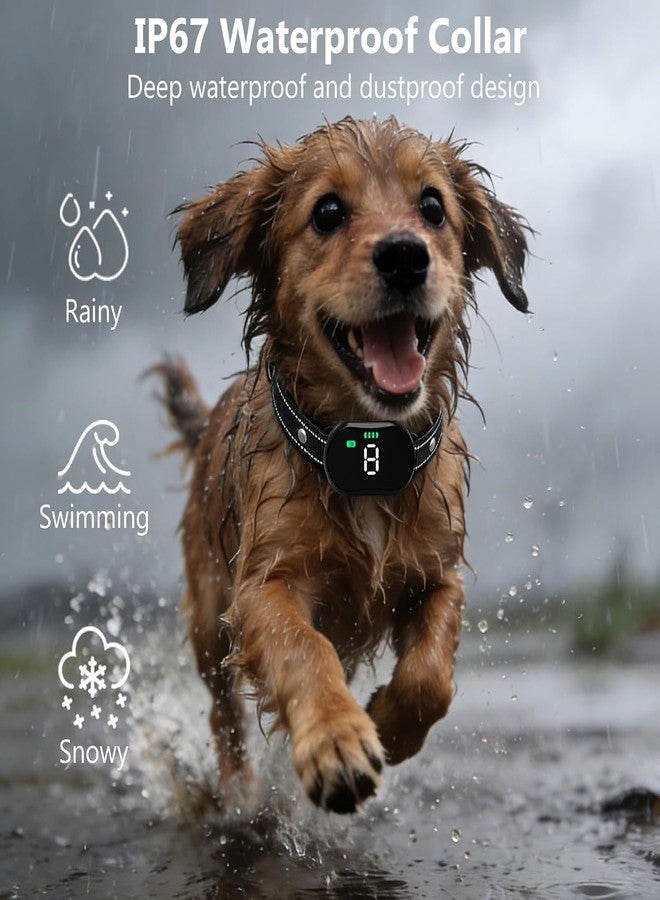 KIP Remote Dog Training Collar, IP67 Waterproof Shockproof E-Collar with 5 Training Modes, Rechargeable and Adjustable for Small, Medium and Large Dogs - Image 4