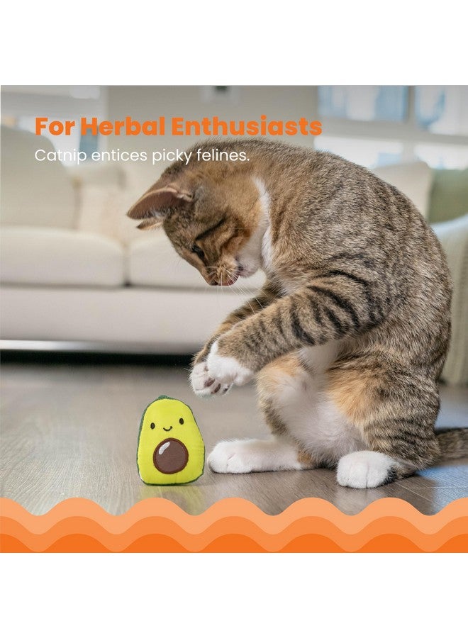Catstages Lil' Avocato Dental Health Catnip Cat Chew Toy - Image 3