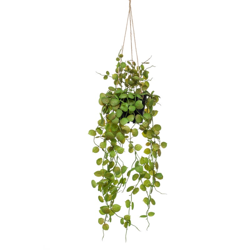 Homez artificial plant ceropegia hanging in pot, green 25*25*50cm