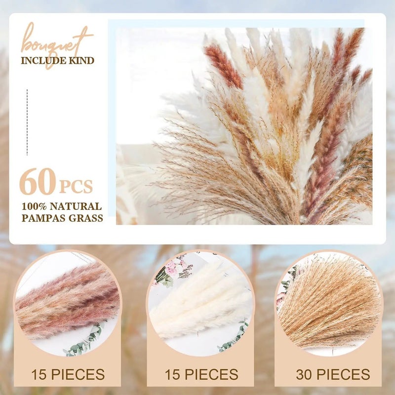 Bluejw G43 Pampas Grass Bouquet, 80pcs Natural Dried Phragmites Flowers for Wedding Home Decor, Valentine's Day Christmas Dried Plants - Image 3