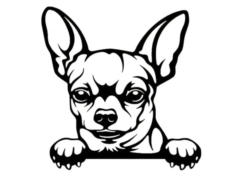 MAKTEM Peeking Chihuahua Sticker for Cars Cute Dog Decals for Window Bumper Mirror Indoor Outdoor Anime Vinyl Peel and Stick - Image 3