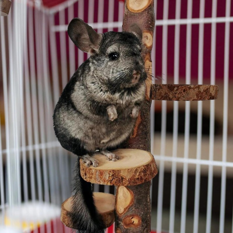 Pet Toy Stand, Safe Climbing Vertical Design with 3 Wooden Platforms, Chinchilla Rotating Jumping Platform, Pet-Friendly, for Small Pets Such As Flying Squirrels, Chinchillas, and Squirrels - Image 4