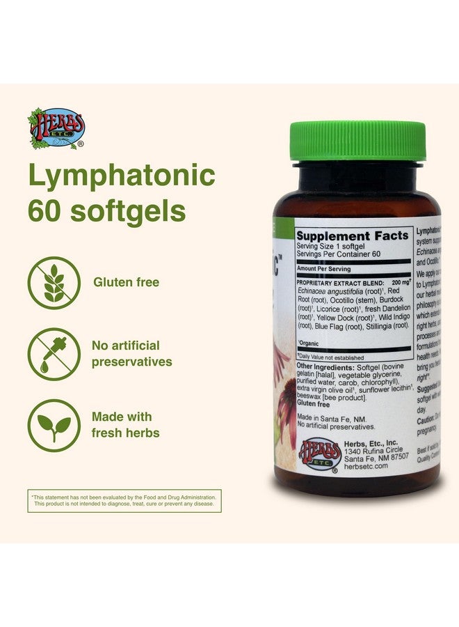 Herbs ETC. Lymphatonic Sg, 60 CT - Image 2
