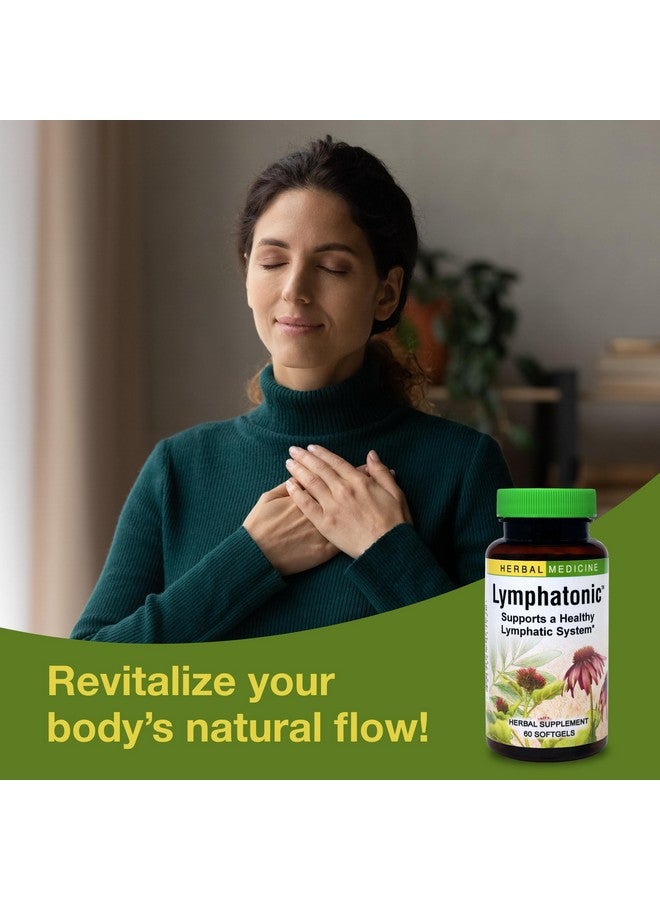 Herbs ETC. Lymphatonic Sg, 60 CT - Image 3