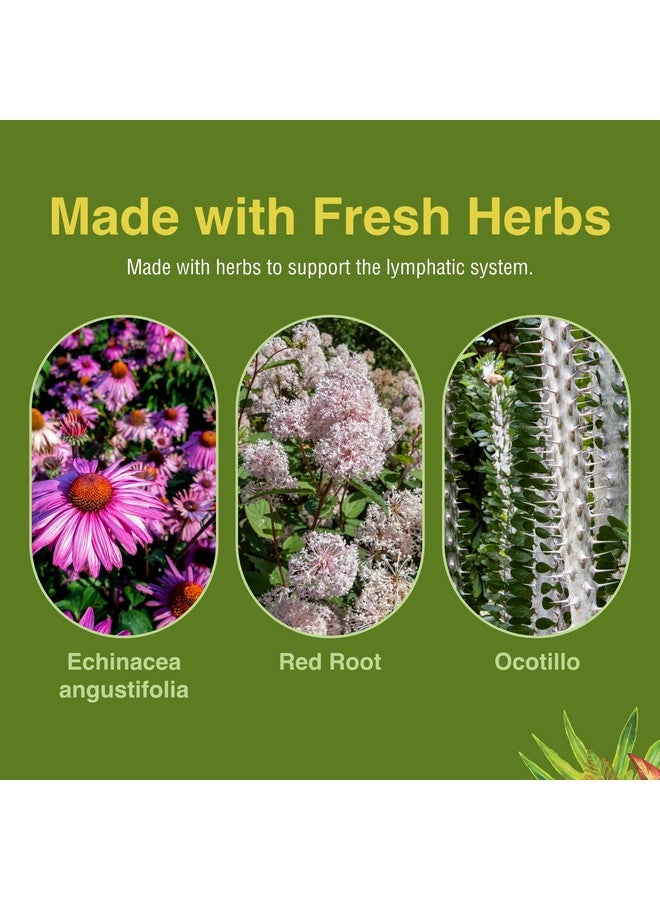 Herbs ETC. Lymphatonic Sg, 60 CT - Image 5