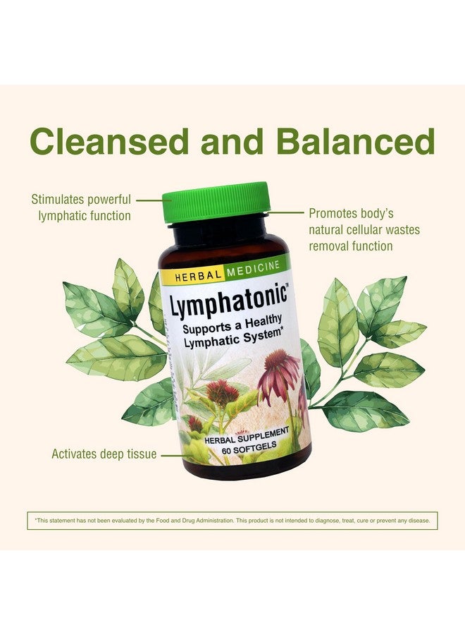 Herbs ETC. Lymphatonic Sg, 60 CT - Image 4