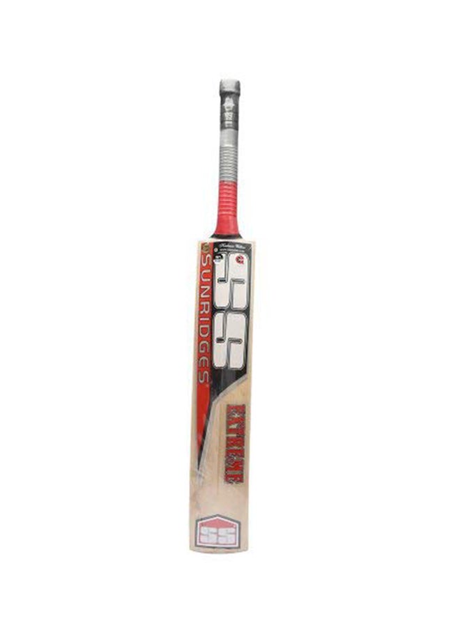 SS Kashmir Willow Cricket Bat  - Image 2