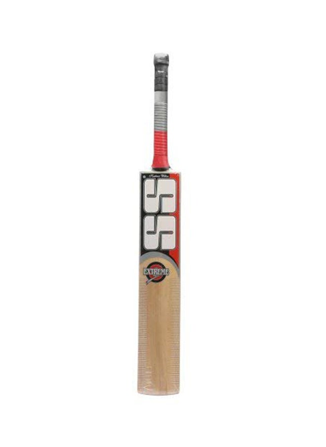 SS Kashmir Willow Cricket Bat  - Image 3