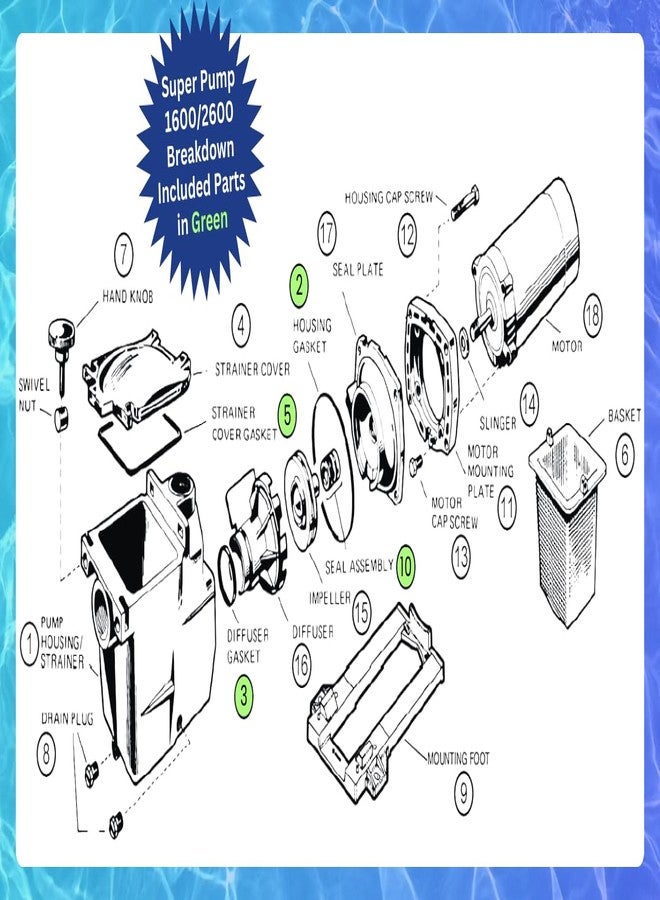 Kit King USA - Super Pump Seal Replacement for Hayward Go 3. All 3 Gaskets & Shaft Seal. Fits All SP1600, SP2600 in Regular, X, VSP Models. SPX1600TRA SP1600Z2 PS-201 SPX1600R SPX1600S SPX1600T Pool - Image 5