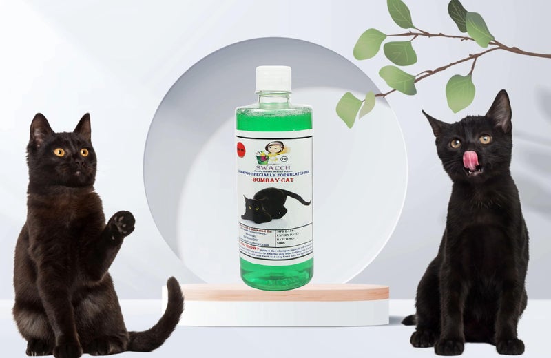 Swacch Shampoo Specially Formulated for Bombay CAT (500ml) Neem Alovera - Image 1