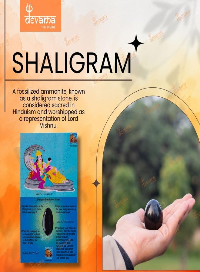 Devama The Divine™ Natural Black Stone Shaligram/SALIGRAM/SHALAGRAM/SALAGRAMA Shila for Pooja (Religious Stone) for Divine Blessings from GANDAKI River - Image 2
