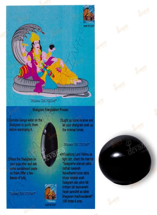 Devama The Divine™ Natural Black Stone Shaligram/SALIGRAM/SHALAGRAM/SALAGRAMA Shila for Pooja (Religious Stone) for Divine Blessings from GANDAKI River - Image 4