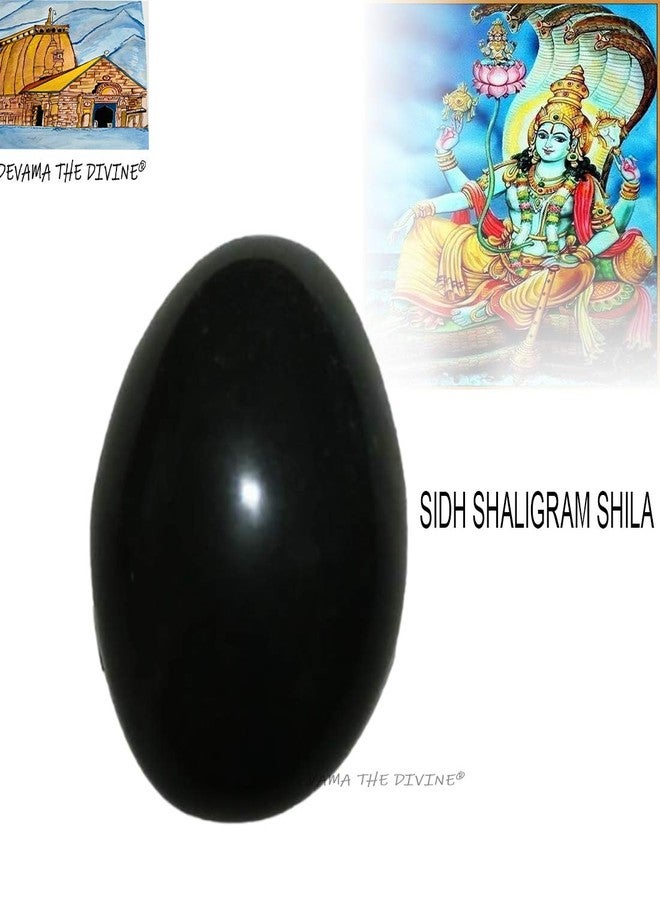Devama The Divine™ Natural Black Stone Shaligram/SALIGRAM/SHALAGRAM/SALAGRAMA Shila for Pooja (Religious Stone) for Divine Blessings from GANDAKI River - Image 3