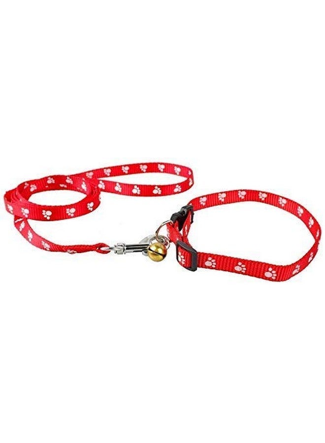 Nylon Paw Print 10Mm Collar Set For Puppies And Cats,Black - Image 2