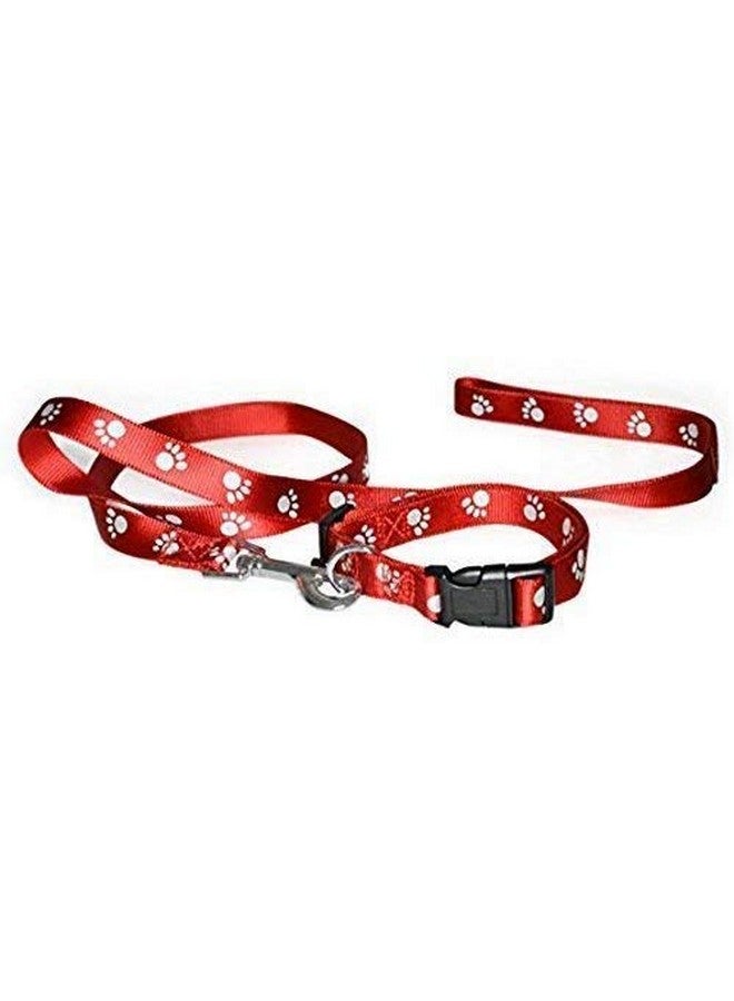 Nylon Paw Print 10Mm Collar Set For Puppies And Cats,Black - Image 3