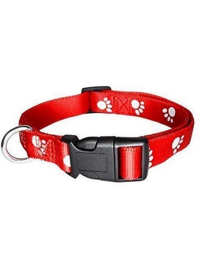 Nylon Paw Print 10Mm Collar Set For Puppies And Cats,Black - Image 4