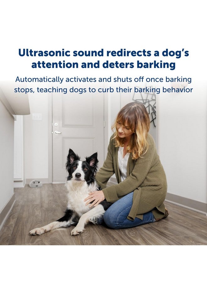 بيت سيف جهاز التحكم في نباح الكلاب بالموجات فوق الصوتية من PetSafe للاستخدام الداخلي - لا حاجة إلى طوق - مدى يصل إلى 25 قدمًا - نظام تدريب الحيوانات الأليفة المضاد للنباح - أوتوماتيكي مع زر تدريب يدوي - Image 4