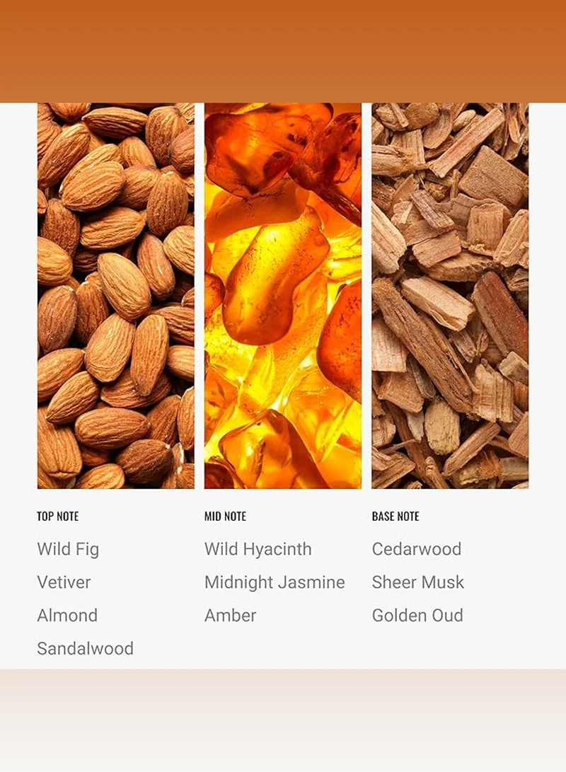 Hotel Collection Cascade  Fragrance Oil Blend - Hotel Inspired for Luxury Essential Oil Diffusers - Aromatherapy Scent Diffuser Oil -  Wild Fig, Almond, and Sandalwood