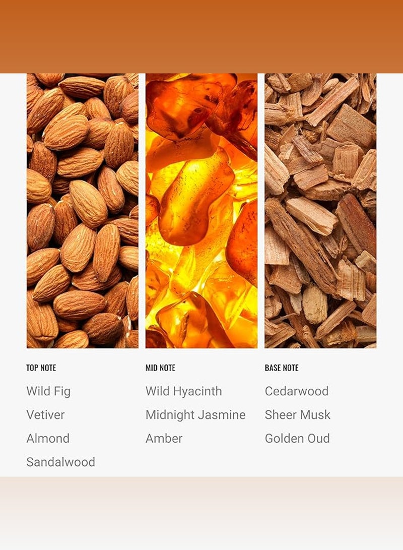 Hotel Collection Cascade  Fragrance Oil Blend - Hotel Inspired for Luxury Essential Oil Diffusers - Aromatherapy Scent Diffuser Oil -  Wild Fig, Almond, and Sandalwood  - Image 2