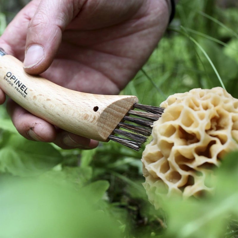Opinel No. 08 Mushroom Knife – Pick + Clean Mushrooms, Beechwood Handle, Integrated Brush, Curved Sandvik Steel Blade, Made in France - Image 4