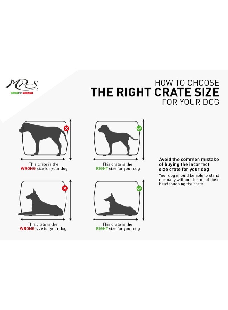 ام بي اس 2 حاملة الحيوانات الأليفة سكودو 4 إياتا، رمادية، متوسطة، 68×48×51 سم - Image 3