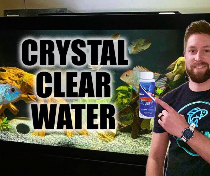 VAYINATO Aquatic Remedies Aquaria Clear for Aquarium Fish Tank Cloudy Water Remover | for Crystal Clear Water (Pack of 2 * 120 ML| 240 ML) - Image 3