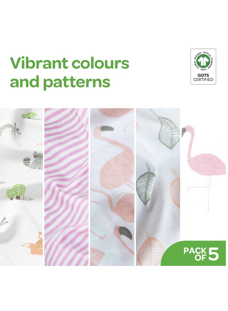 Moon Organic Baby Body Suit Set Of 5 For Girls, 6-9 Months - Pink - Image 3