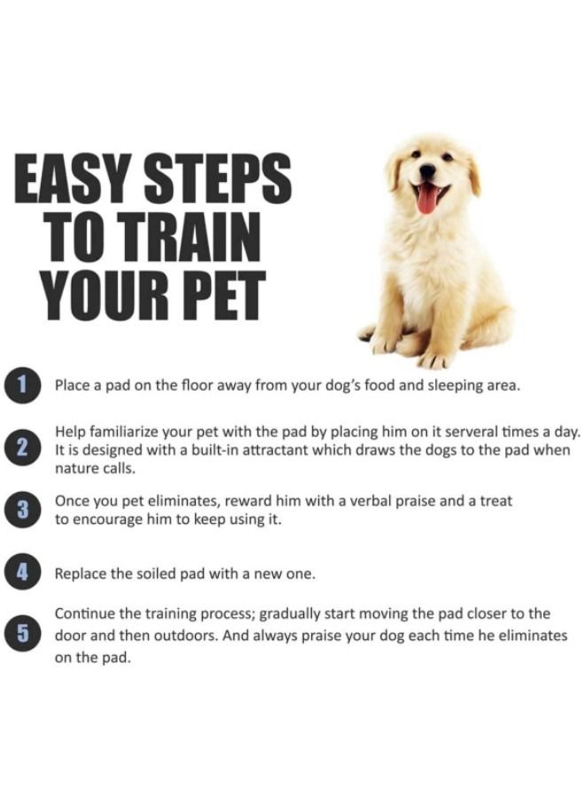 Generic Disposable Dog Urine Pad 50pcs 45*60cm Pet Pee Pads Puppy Potty Training Pet Mats Thickened Cotton Layer Pet Potty Training Puppy Pee Mat  - Image 3