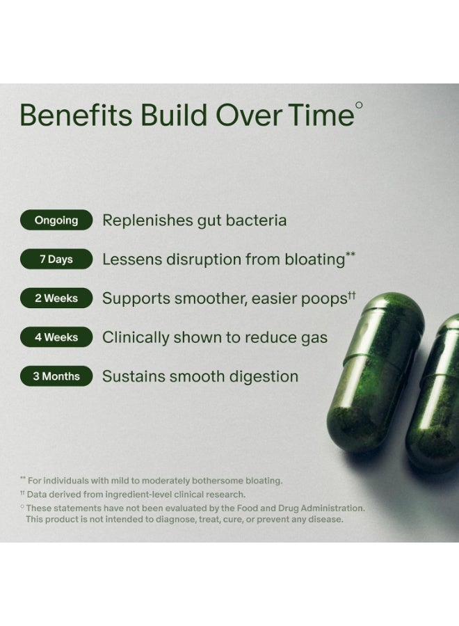 Seed DS-01 Daily Synbiotic (60 Capsules) - 53.6 Billion AFU - Digestive Health, Gut Health, and Immune Health - Multi-Strain Probiotics for Women & Men - Vegan & Shelf-Stable - Image 3