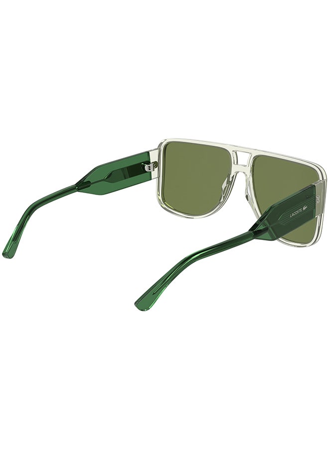 LACOSTE نظارات شمسية لاكوست كاملة الإطار من الأسيتات L6056S 5916 (315) أخضر فاتح - Image 4