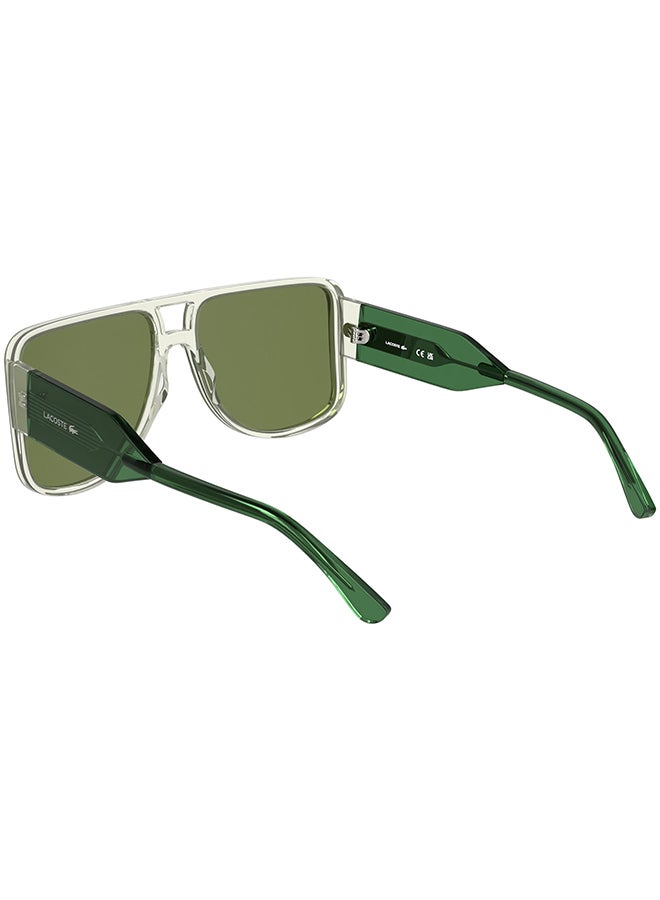 LACOSTE نظارات شمسية لاكوست كاملة الإطار من الأسيتات L6056S 5916 (315) أخضر فاتح - Image 2