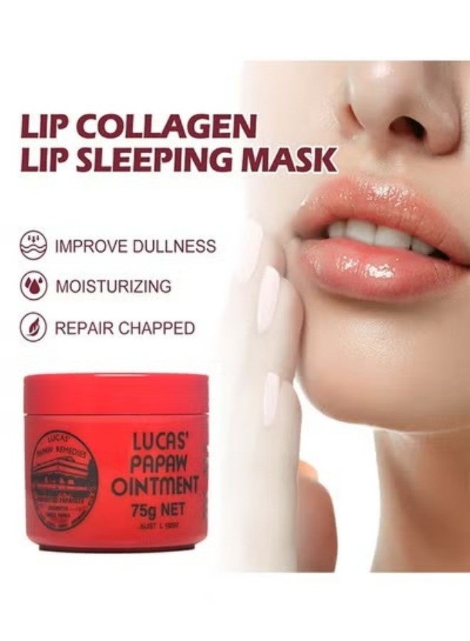 لوكاس باباو مرهم باباو 75 غرام، غني بمستخلصات باباو وأفوكادو، تحسين الجلد الجاف، منع الجفاف والتقشير، بلسم متعدد الأغراض لرطوبة الشفاه/الجلد/البشرة/الأظافر/تشطيب الجمال - Image 2