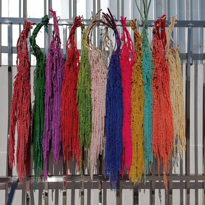 Bluejw High Quality Natural Preserved Amaranth Dried Flowers Hanging Bunch for Home Wedding Decoration & Dried Plants Bouquet - Image 4