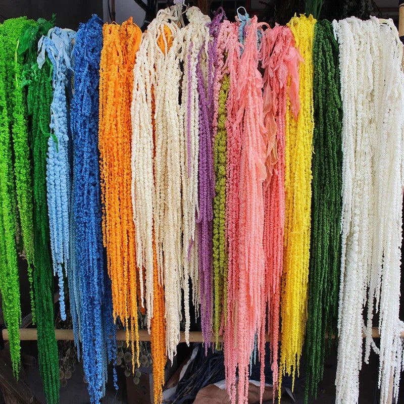 Bluejw High Quality Natural Preserved Amaranth Dried Flowers Hanging Bunch for Home Wedding Decoration & Dried Plants Bouquet - Image 3