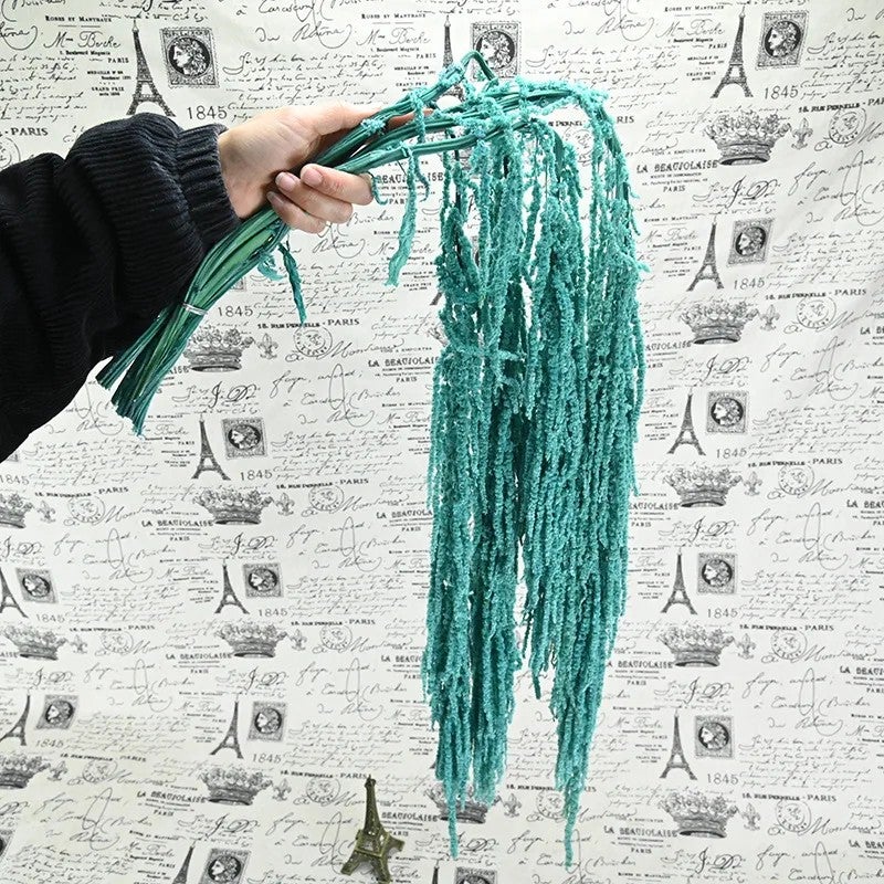 Bluejw High Quality Natural Preserved Amaranth Dried Flowers Hanging Bunch for Home Wedding Decoration & Dried Plants Bouquet - Image 1