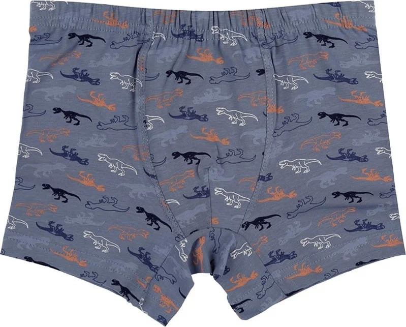 Donella 10 Pcs Colored Dinosaur Printed Boy Boxer - 75711260B