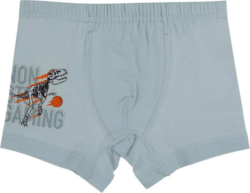 Donella 10 Pcs Colored Dinosaur Printed Boy Boxer - 75711260B