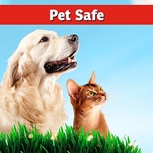 IMUSTGARDEN I Must Garden Squirrel Repellent - 3lb Granular - Stops Digging in Flower Pots and Beds - Image 4