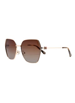 دلس نظارات شمسية مستقطبة كبيرة الحجم دي إل إس طراز MS9007-C4  - Image 1